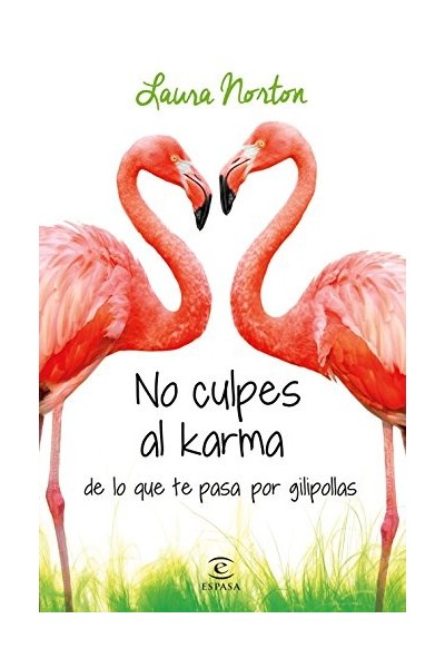 No culpes al karma de lo que te pasa por gilipollas